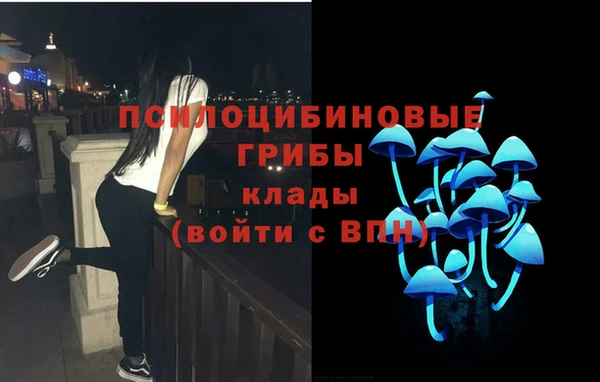 соль ск Майский