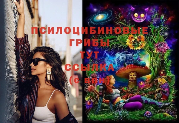 соль ск Майский